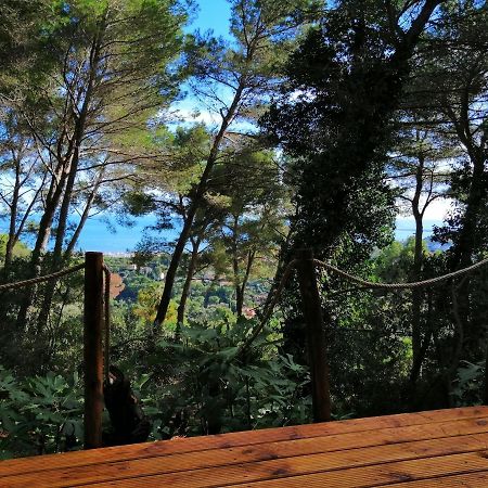 Cabane Azur Mountain Vallauris Exterior photo