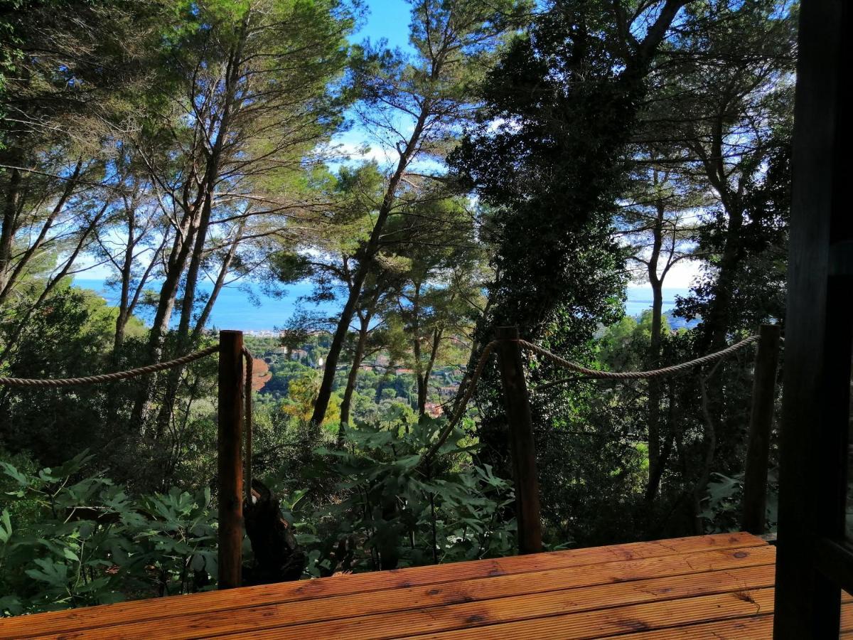 Cabane Azur Mountain Vallauris Exterior photo